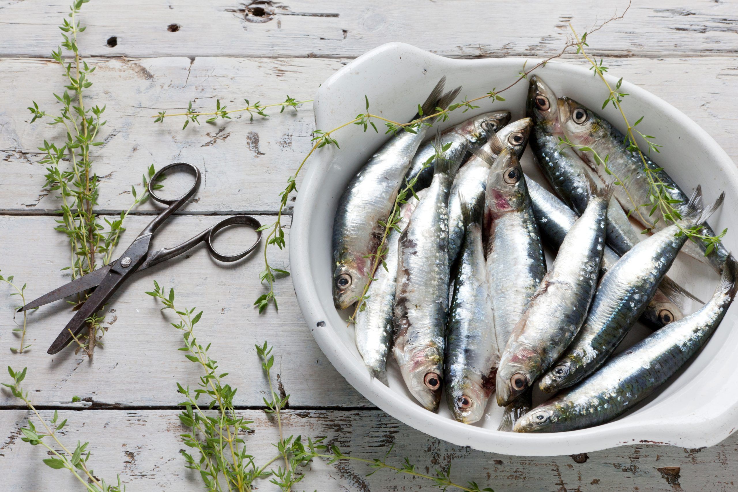 What You Don’t Know About Sardines