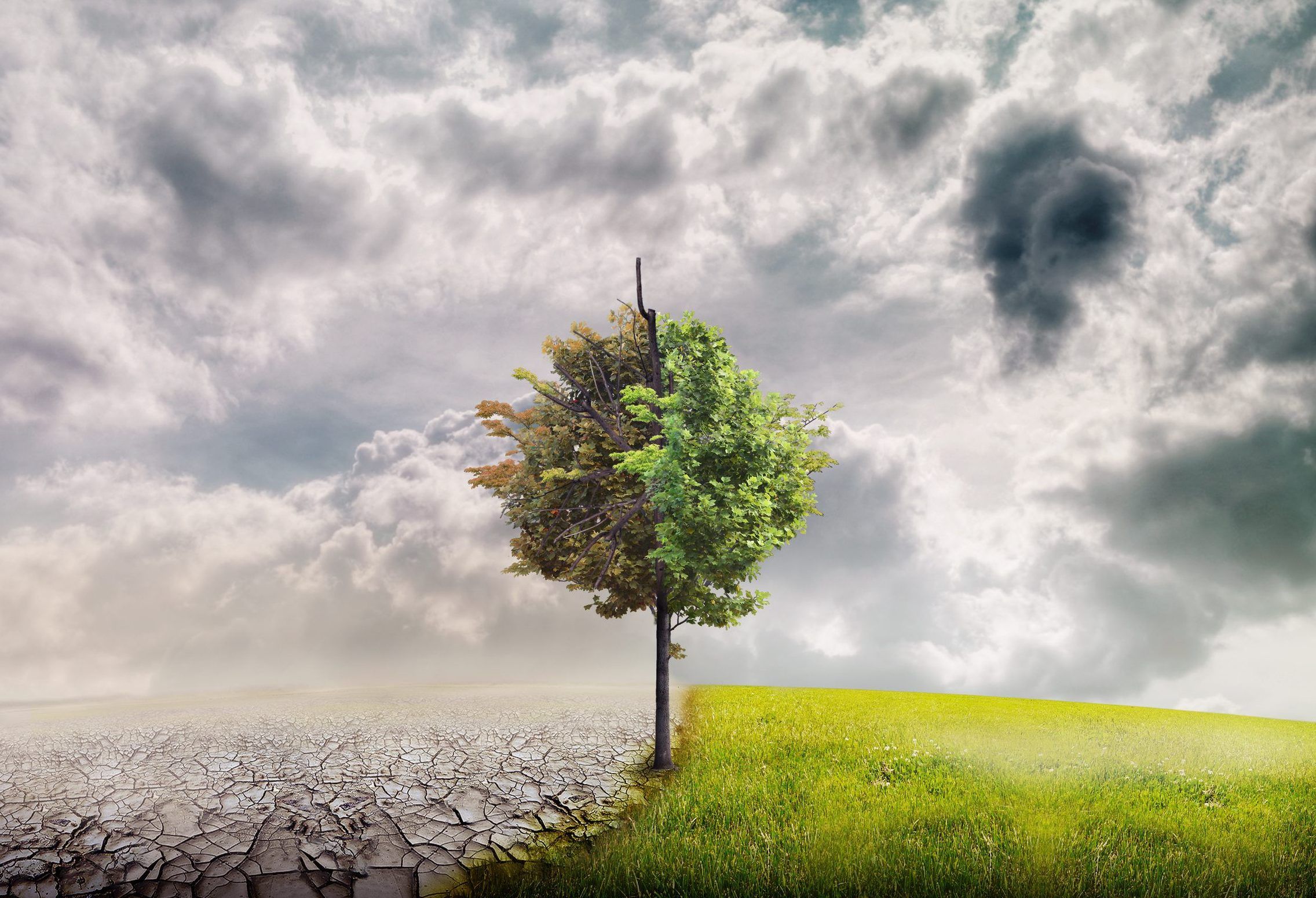 An Important Timeless Question