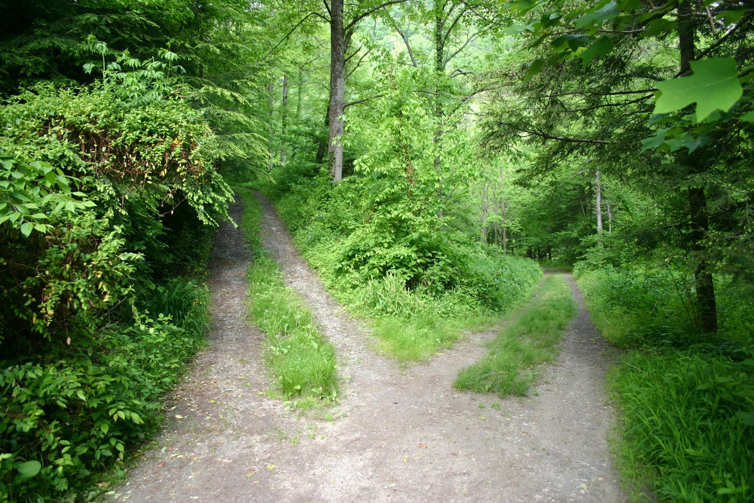 the-road-less-traveled.jpeg The Road Less Traveled