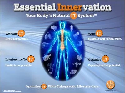 your-natural-it-system.jpg Your Natural I.T. System